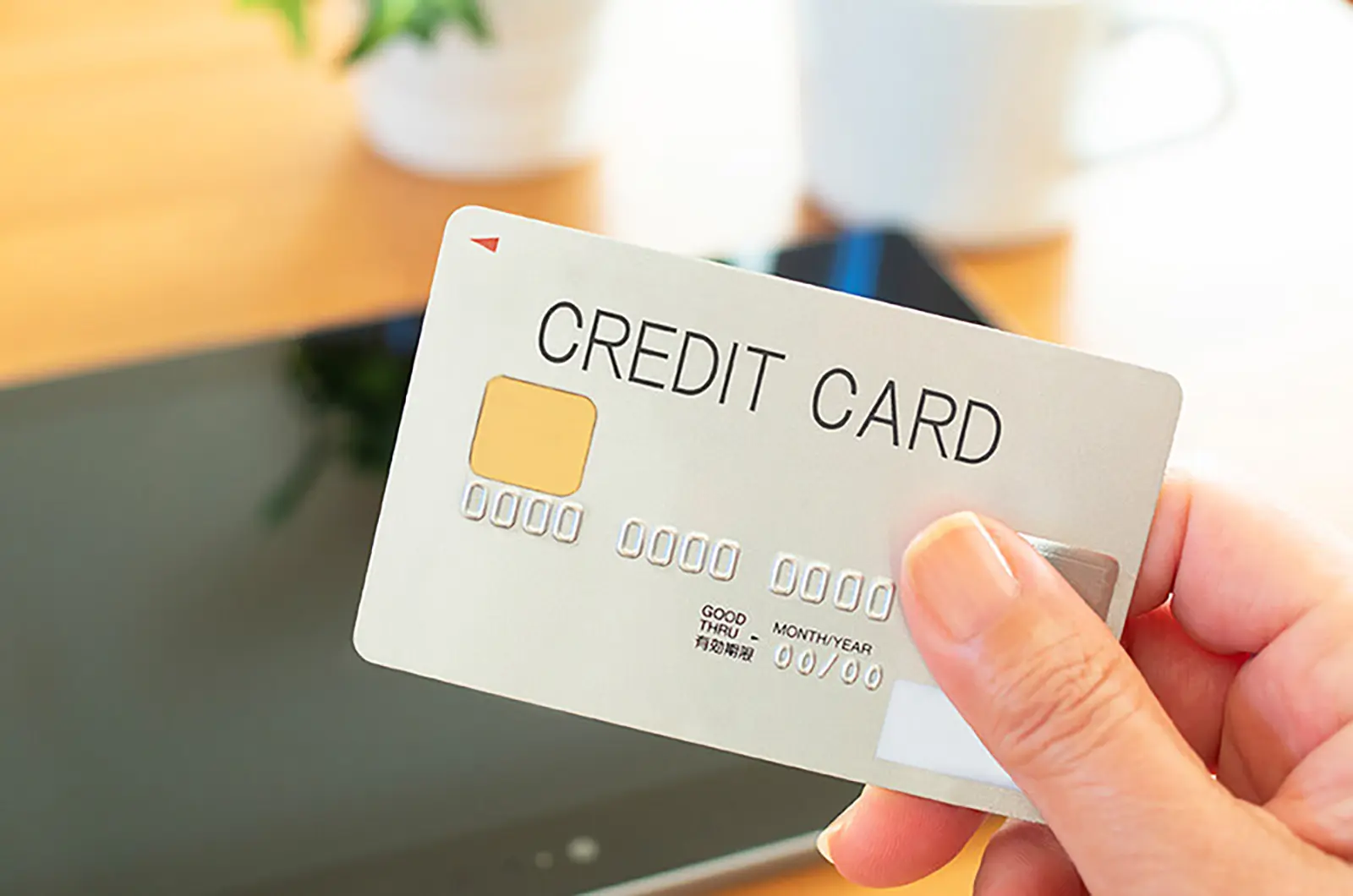 クレジット決済オプション イメージ